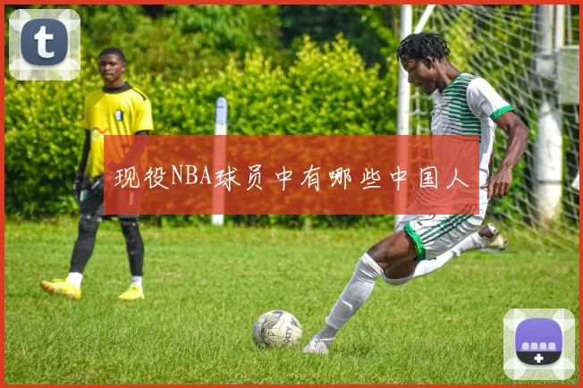 现役NBA球员中有哪些中国人
