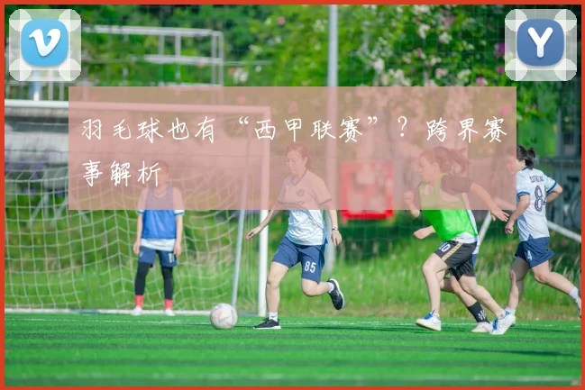 羽毛球也有“西甲联赛”？跨界赛事解析