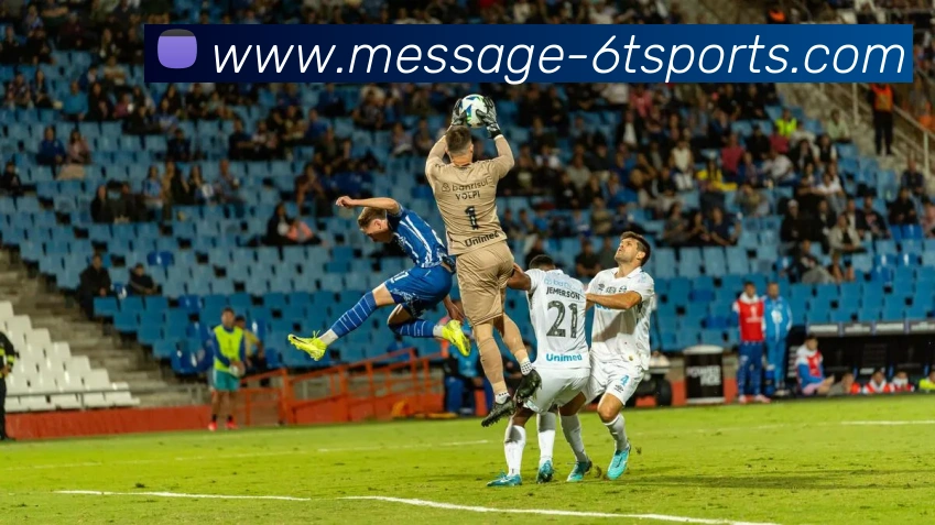 6T体育平台生态图